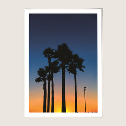 Venice Beach Sunset