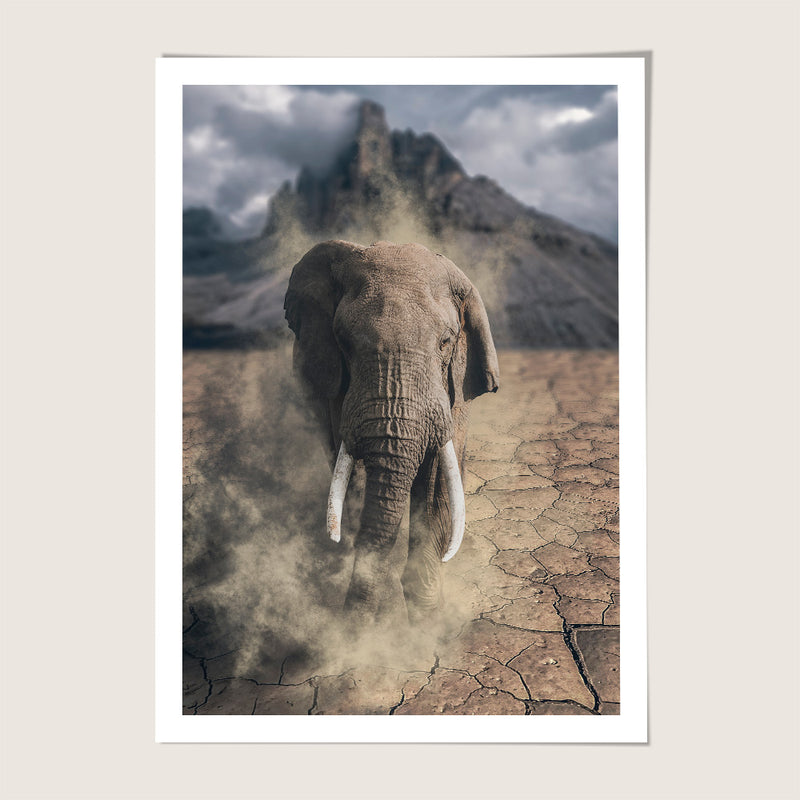 Elephant Charge