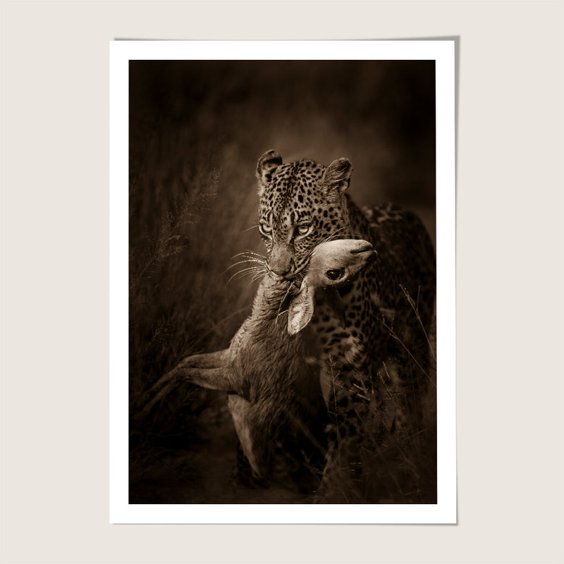 Leopard & Prey