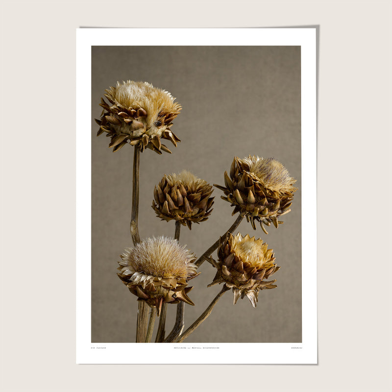 Artichoke