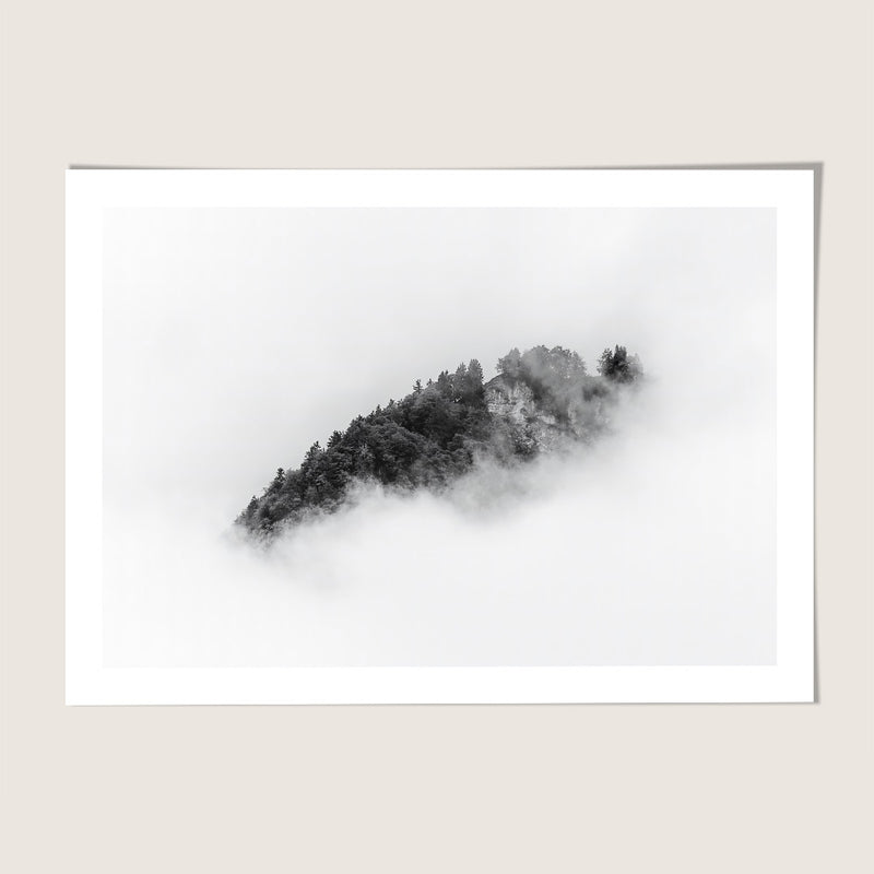 Forest in the Clouds